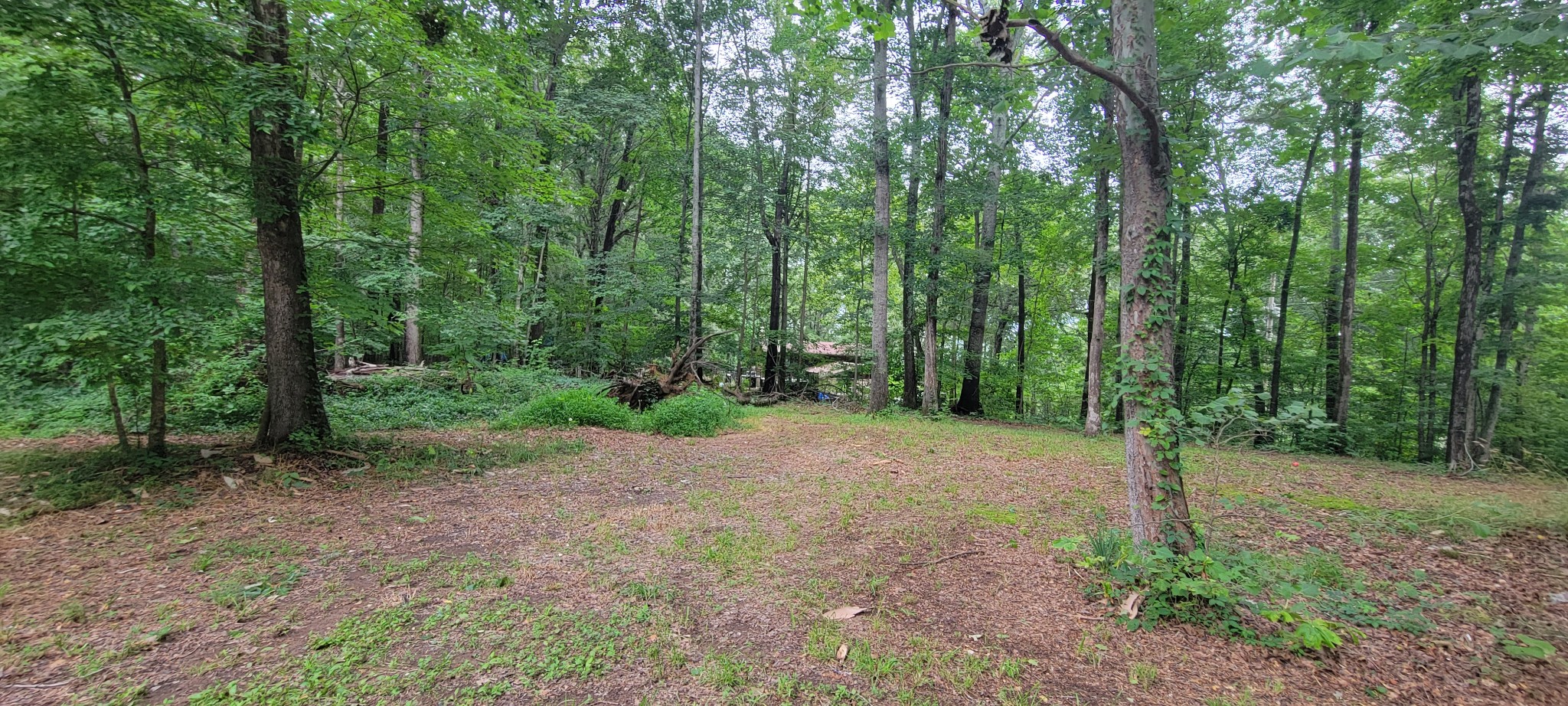 1 Beech Hill Road Pegram, TN 37143 - Photo 5 of 8 Gallery Image 5