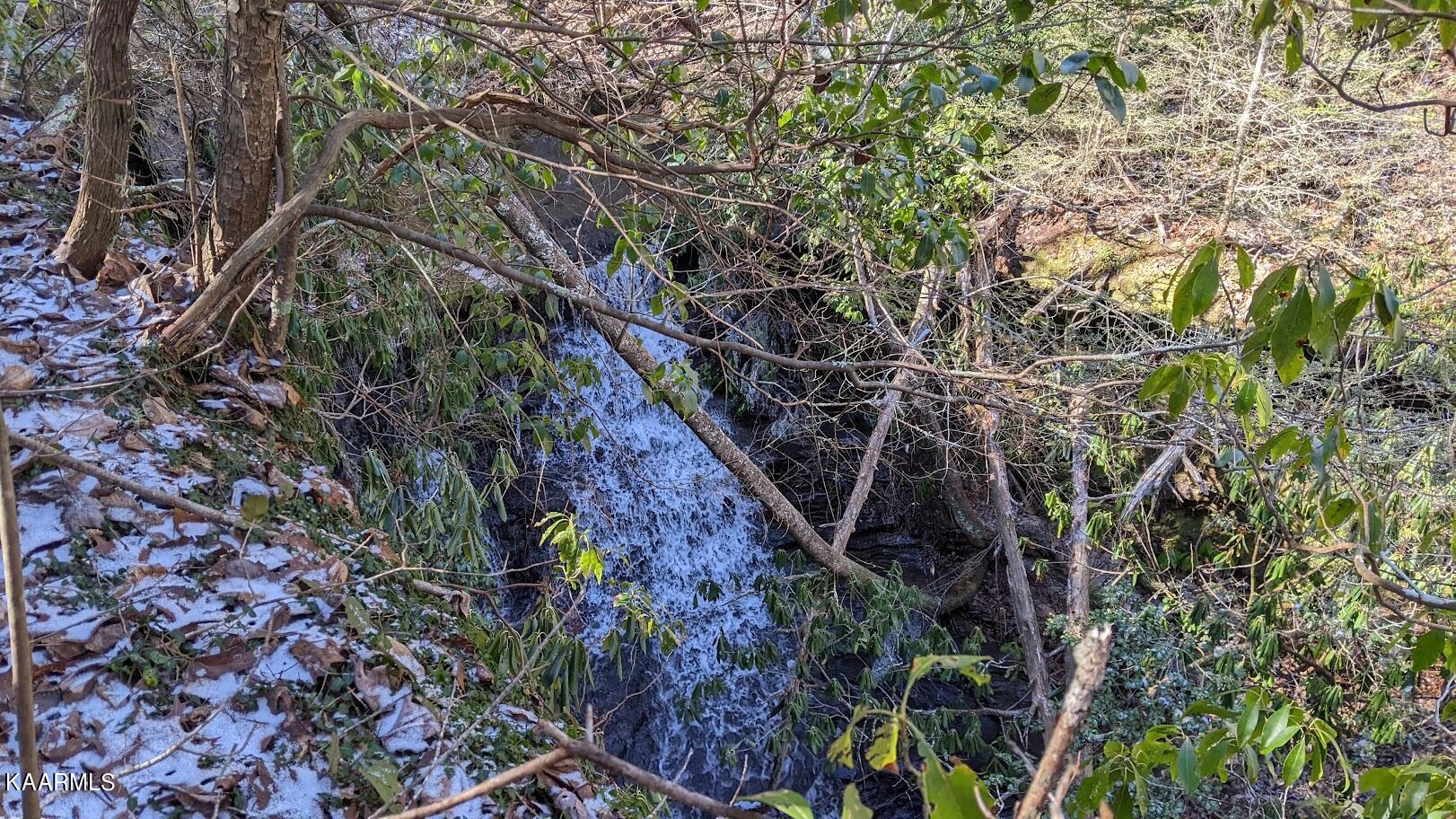 PXL_20220205_184537367