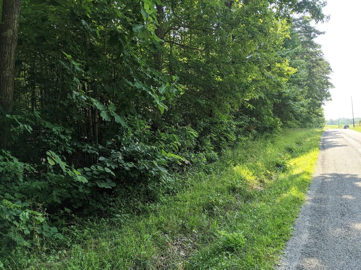 Old Grimsley Rd Road Grimsley, TN 38565 - Photo 12 of 21 PXL_20210723_142509926