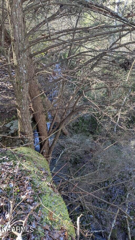 Old Grimsley Rd Road Grimsley, TN 38565 - Photo 15 of 21 PXL_20220205_184927369