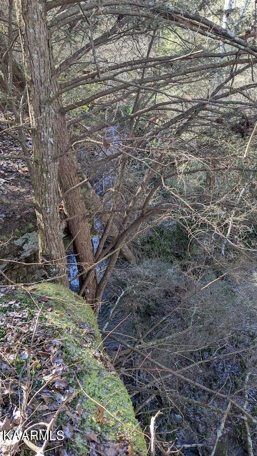Old Grimsley Rd Road Grimsley, TN 38565 - Photo 16 of 21 PXL_20220205_184930282