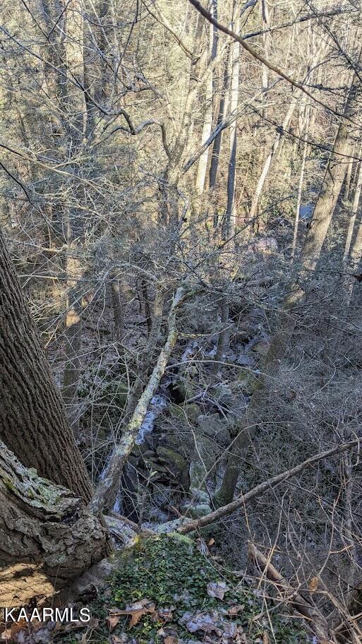 Old Grimsley Rd Road Grimsley, TN 38565 - Photo 17 of 21 PXL_20220205_184942400