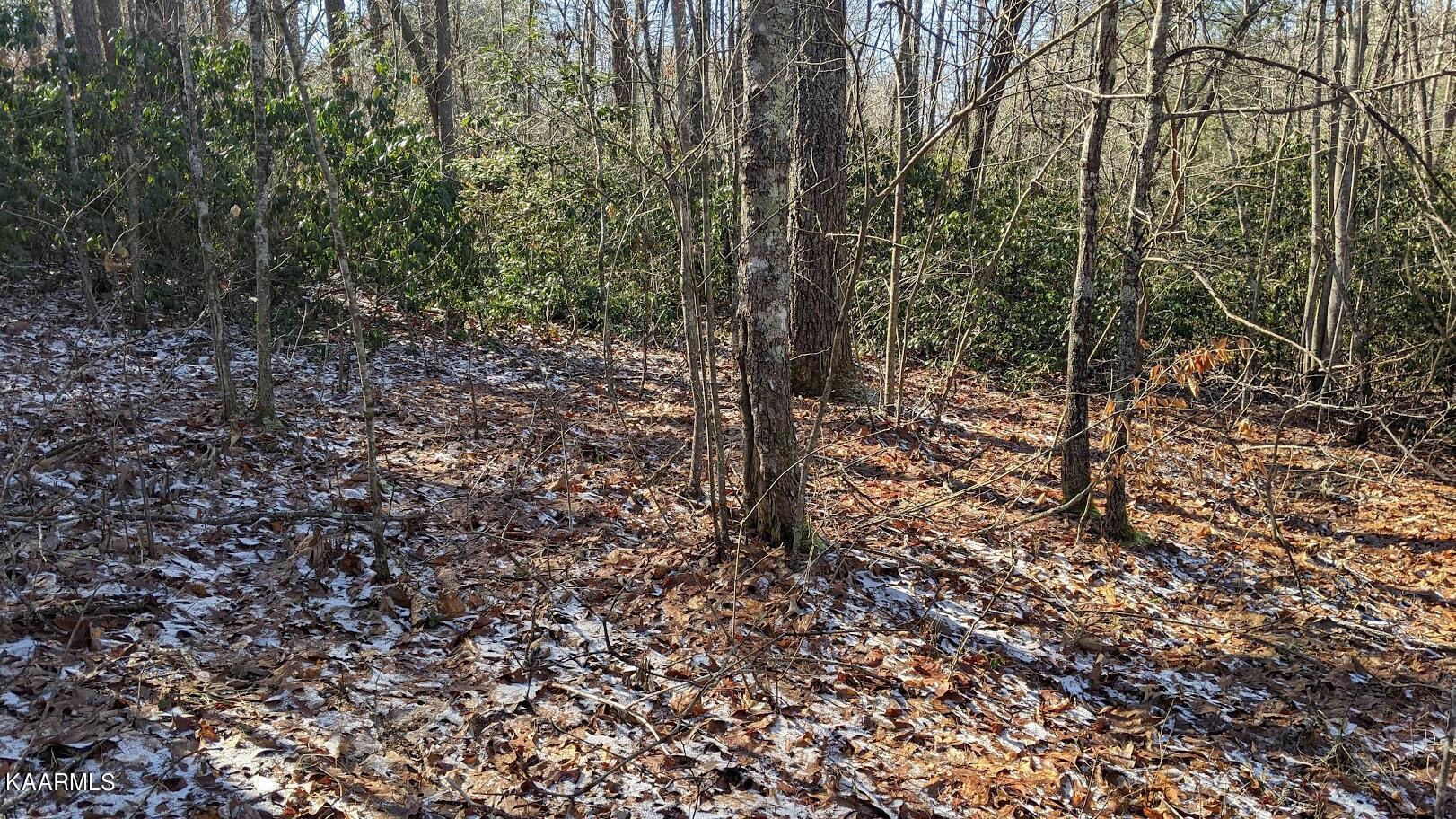 Old Grimsley Rd Road Grimsley, TN 38565 - Photo 18 of 21 PXL_20220205_185159554