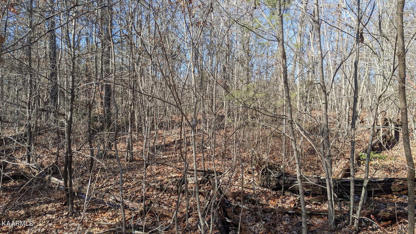 Old Grimsley Rd Road Grimsley, TN 38565 - Photo 21 of 21 PXL_20220205_185514957