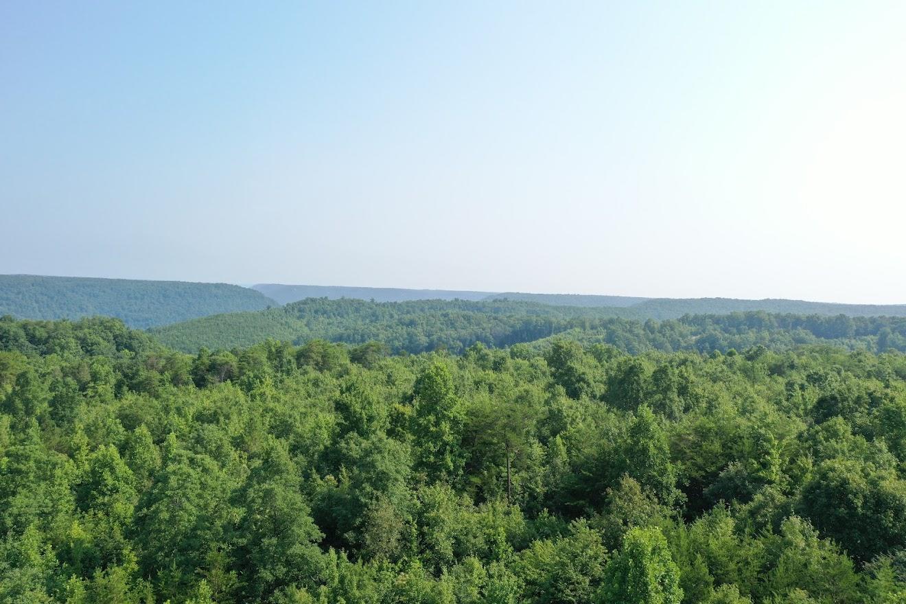 Old Grimsley Rd Road Grimsley, TN 38565 - Photo 3 of 21 org_0c8fbeba48cb8303_1627049930000 (1)
