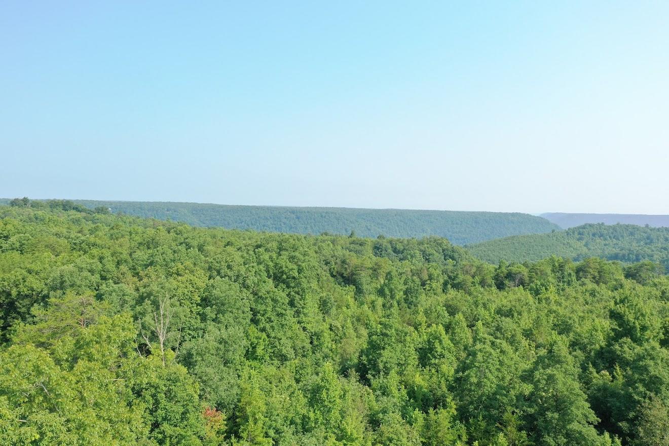 Old Grimsley Rd Road Grimsley, TN 38565 - Photo 4 of 21 org_1cd44810a4ba609f_1627049932000