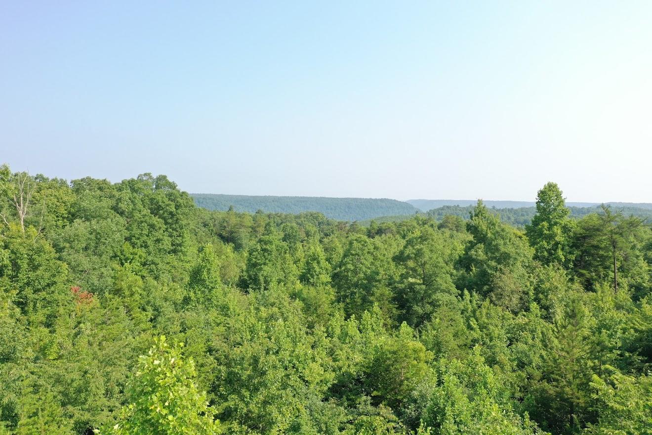 Old Grimsley Rd Road Grimsley, TN 38565 - Photo 6 of 21 org_438be3e829c855d9_1627049944000
