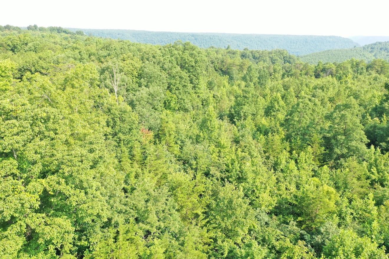 Old Grimsley Rd Road Grimsley, TN 38565 - Photo 7 of 21 org_642cbec829051ce3_1627049938000