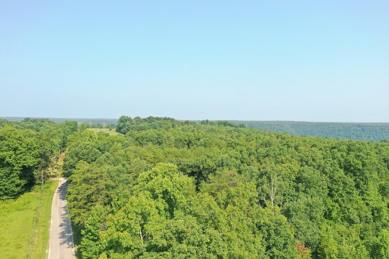 Old Grimsley Rd Road Grimsley, TN 38565 - Photo 8 of 21 org_d7f185a8d61401b1_1627049936000