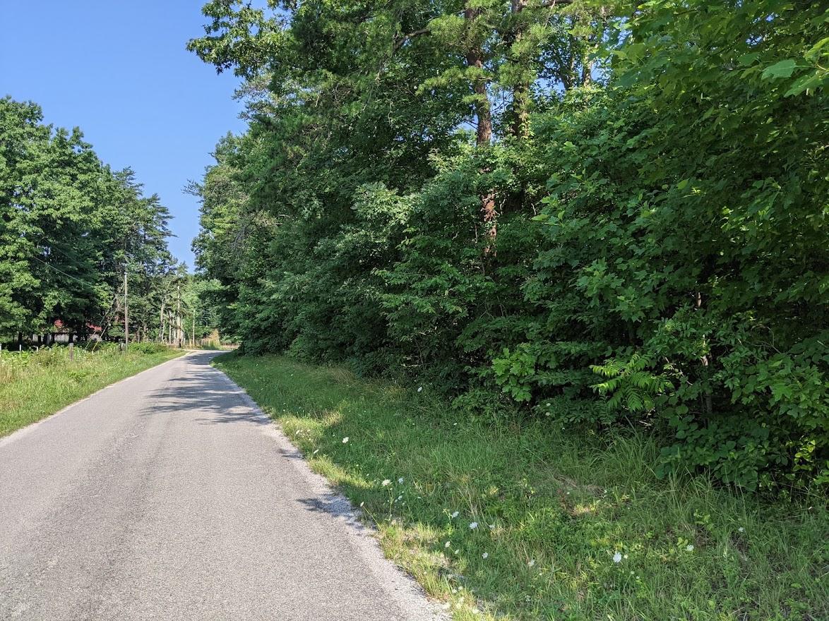 Old Grimsley Rd Road Grimsley, TN 38565 - Photo 9 of 21 PXL_20210723_142338733