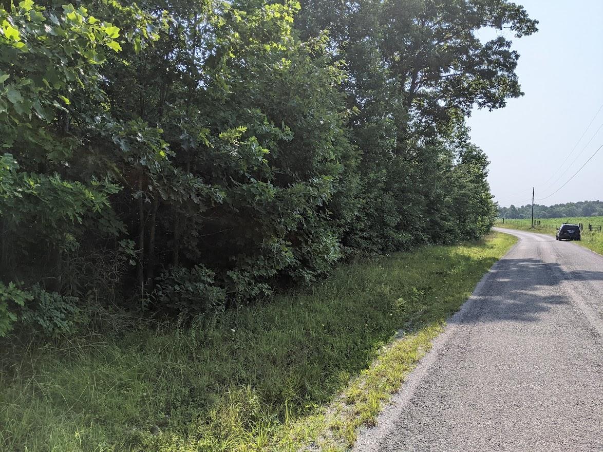 Old Grimsley Rd Road Grimsley, TN 38565 - Photo 10 of 21 PXL_20210723_142343733