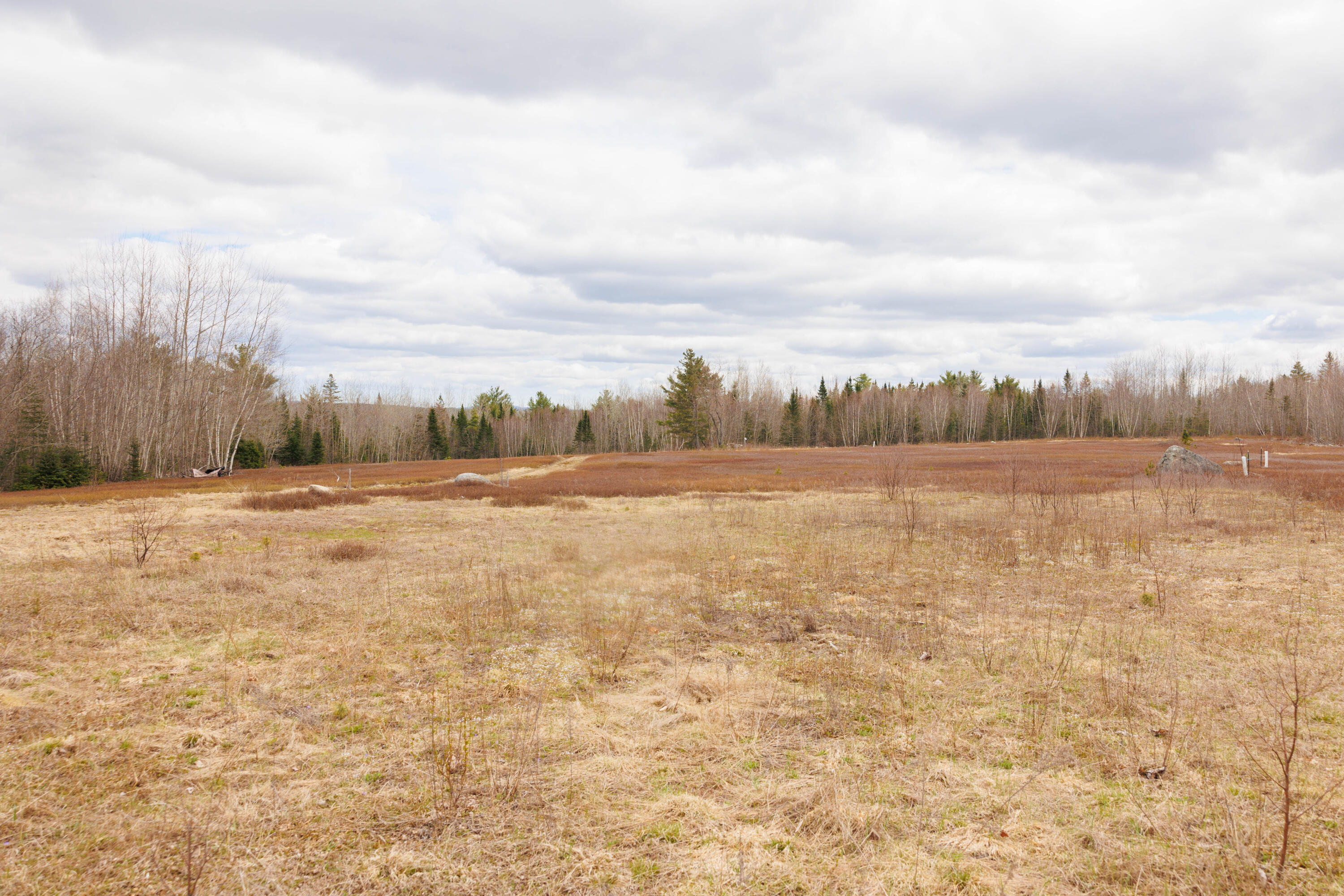 517 Tourtelotte Ridge Road Ellsworth, ME 04605 - Photo 20 of 21 517tourtelotte-21