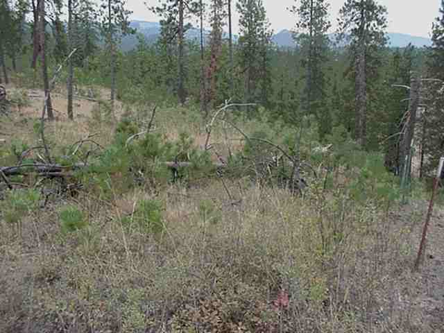 4200-blk Cemetery Road Springdale, WA 99173 - Photo 1 of 5