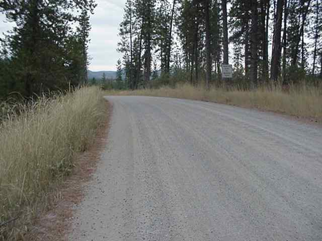 4200-blk Cemetery Road Springdale, WA 99173 - Photo 3 of 5