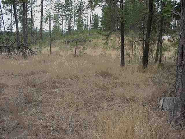 4200-blk Cemetery Road Springdale, WA 99173 - Photo 5 of 5
