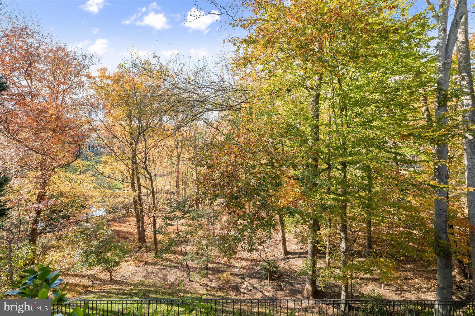 7828 Stable Way Potomac, MD 20854 - Photo 23 of 60 Stunning views in all four seasons