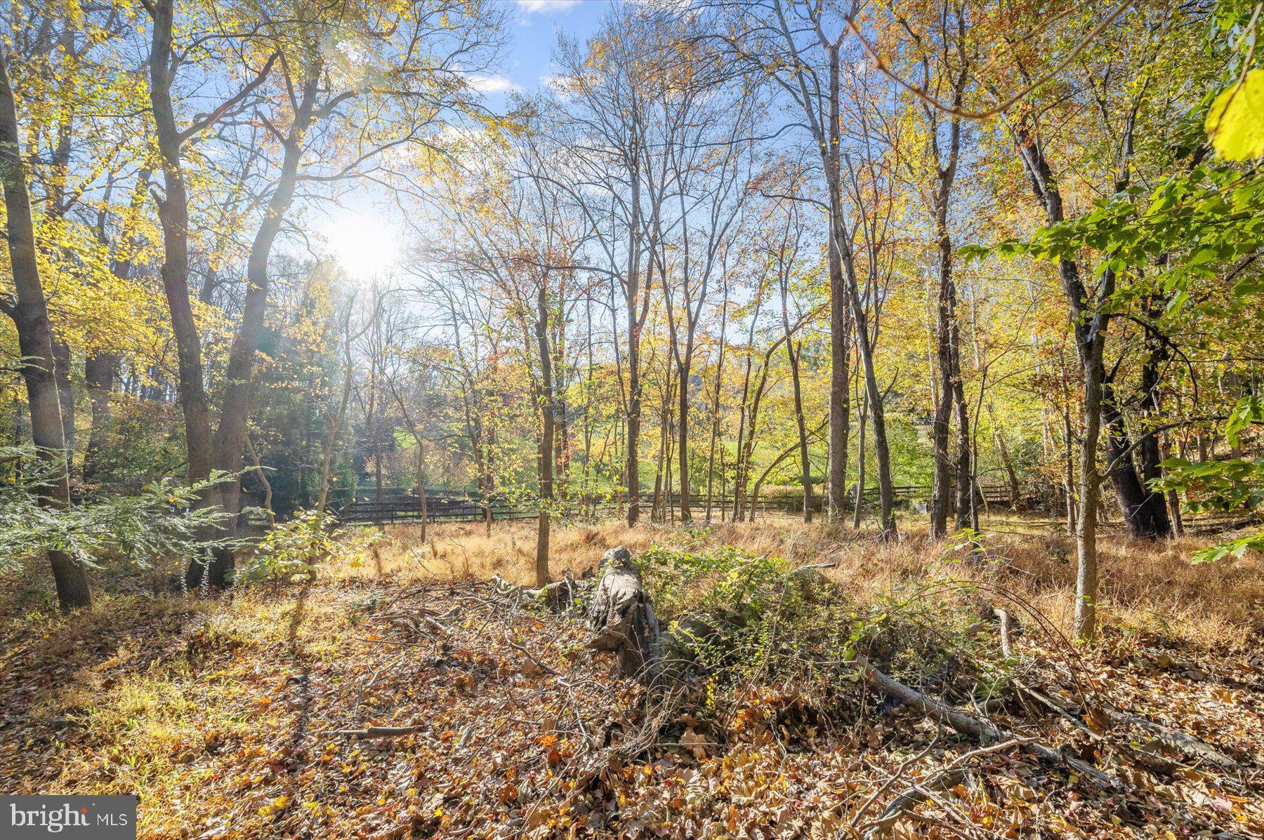 7828 Stable Way Potomac, MD 20854 - Photo 58 of 60 View of green space behind home