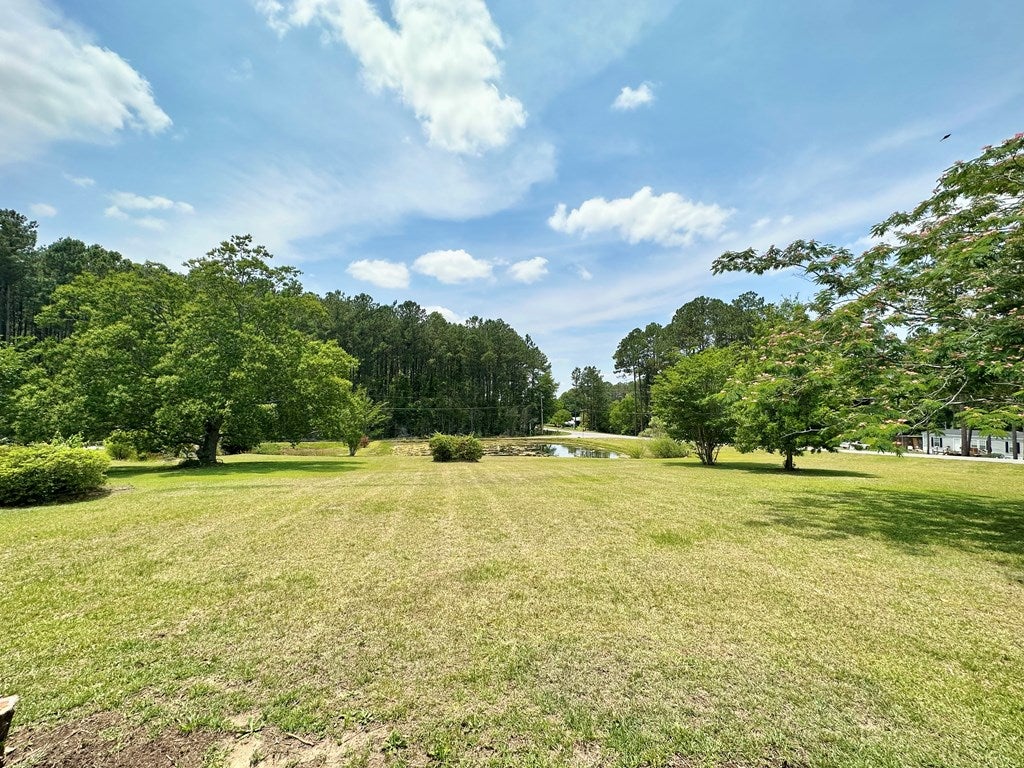 197 Omega-Eldorado Road Tifton, GA 31794 - Photo 15 of 19 Gallery Image 15