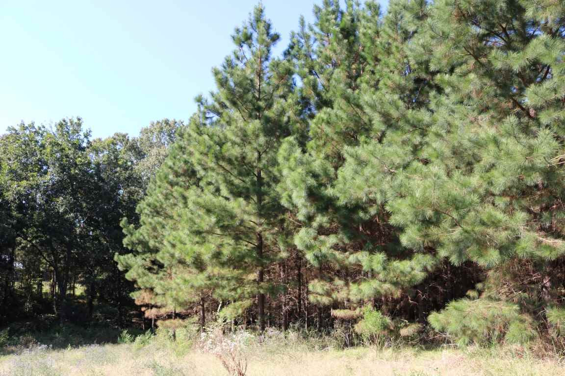0 South Frontage Road Bentonia, MS 39040 - Photo 15 of 20 Photo 15