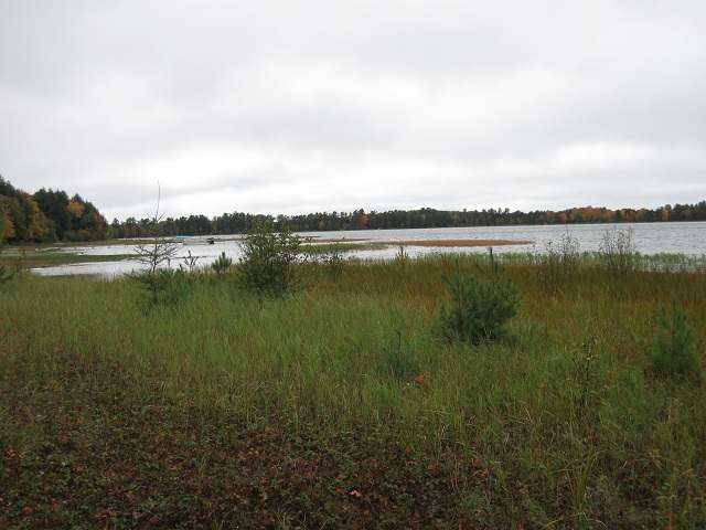 On Maple Road Rhinelander, WI 54501 - Photo 3 of 7 Gallery Image 3