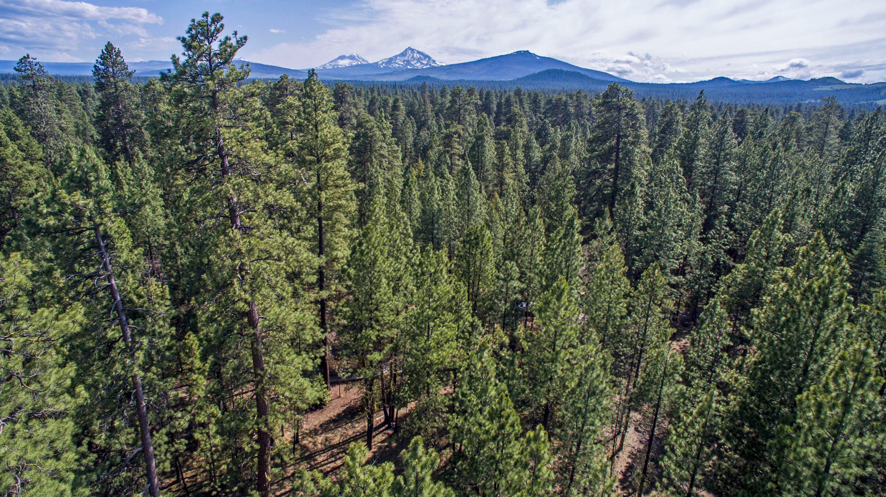 13759 Partridge Foot, Unit RR76 Black Butte Ranch, OR 97759 - Photo 9 of 31 13759 PARTRIDGE FOOT RR76 - Level 0.65 Acre Lot in Black Butte Ranch