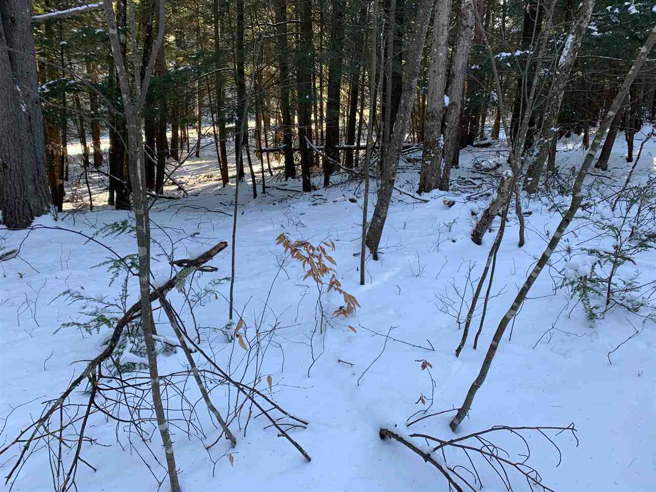 248 Endless Brook Road Poultney, VT 05764 - Photo 13 of 19 Gallery Image 13