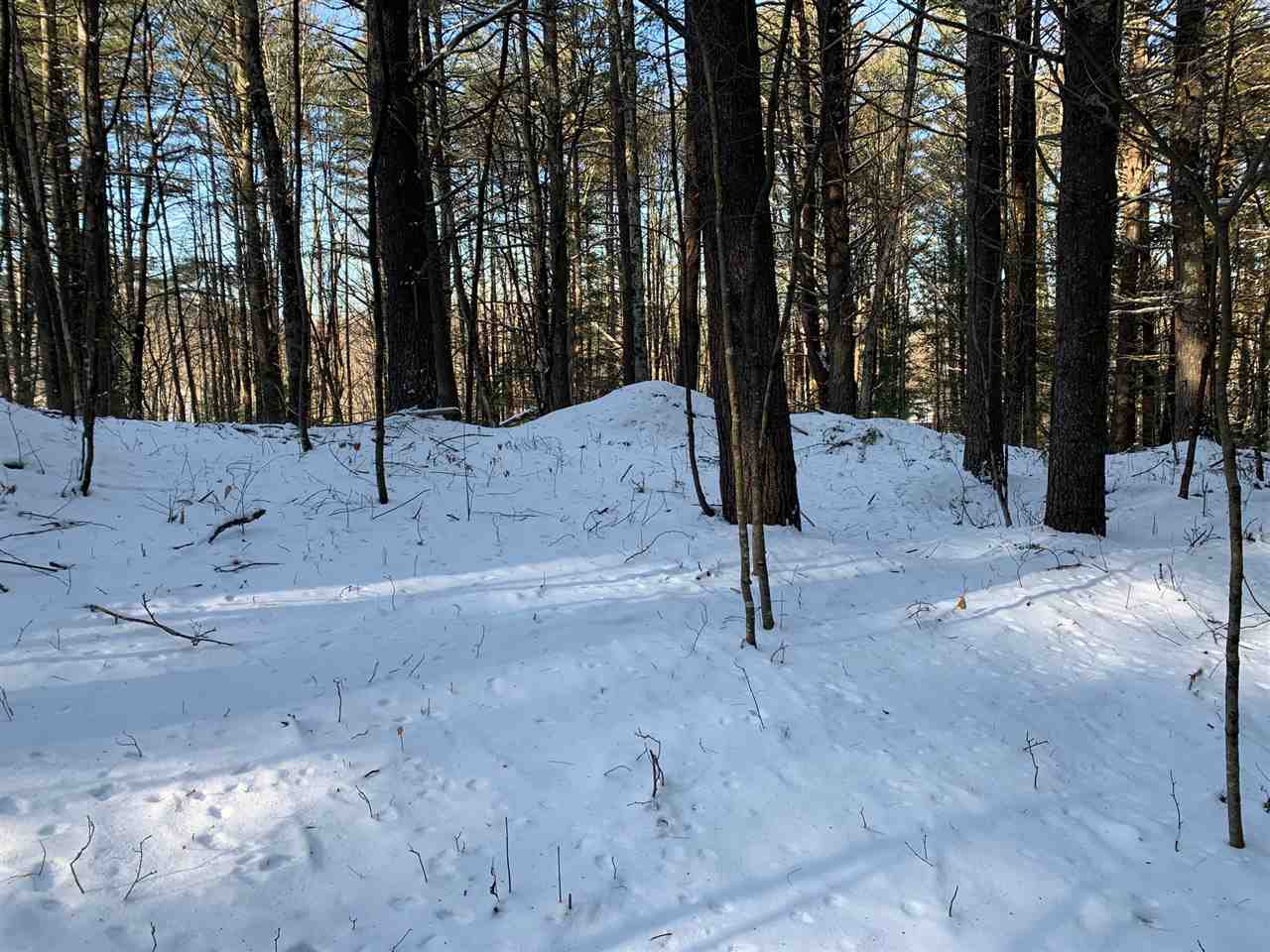 248 Endless Brook Road Poultney, VT 05764 - Photo 15 of 19 Gallery Image 15