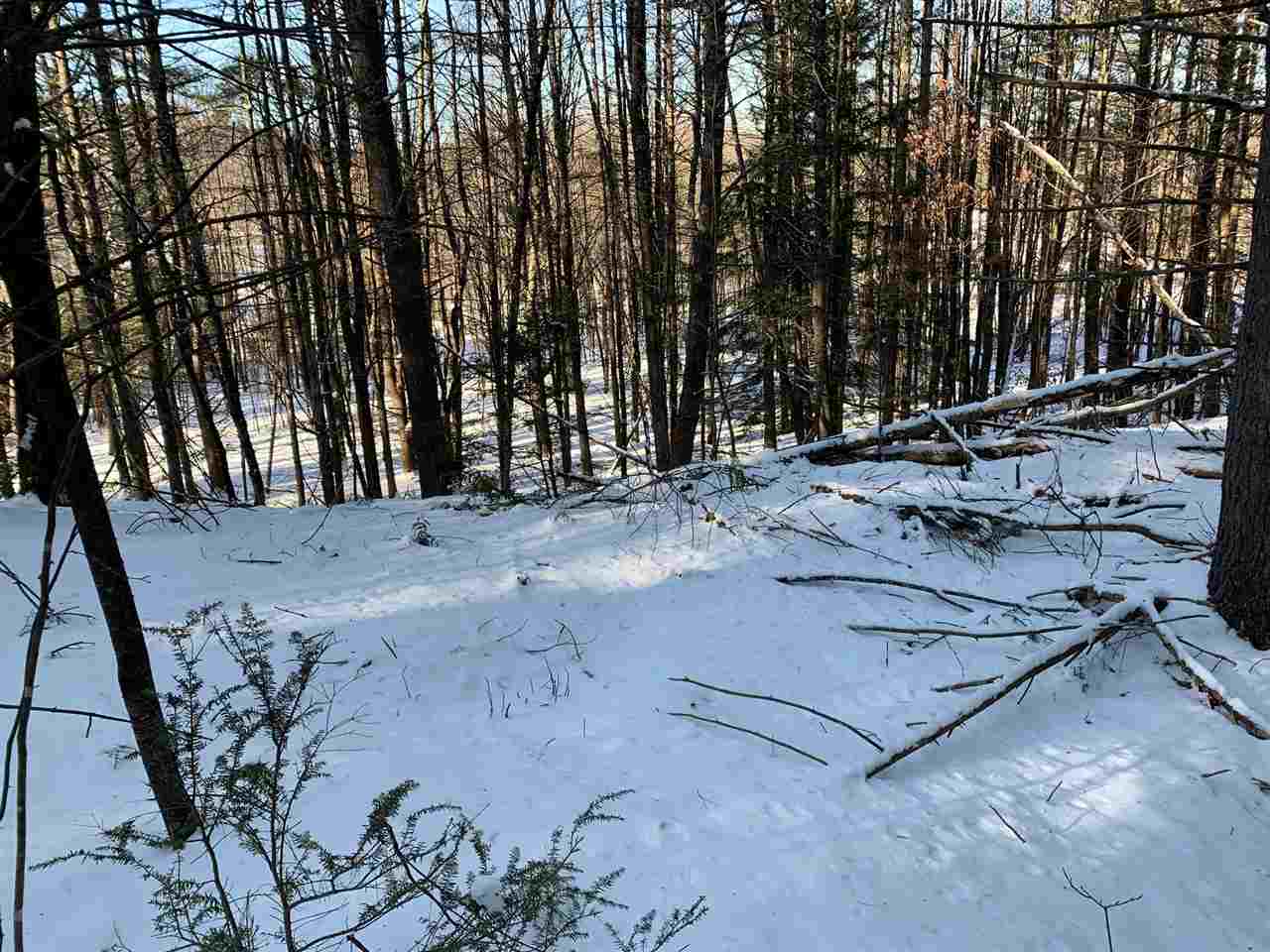 248 Endless Brook Road Poultney, VT 05764 - Photo 16 of 19 Gallery Image 16