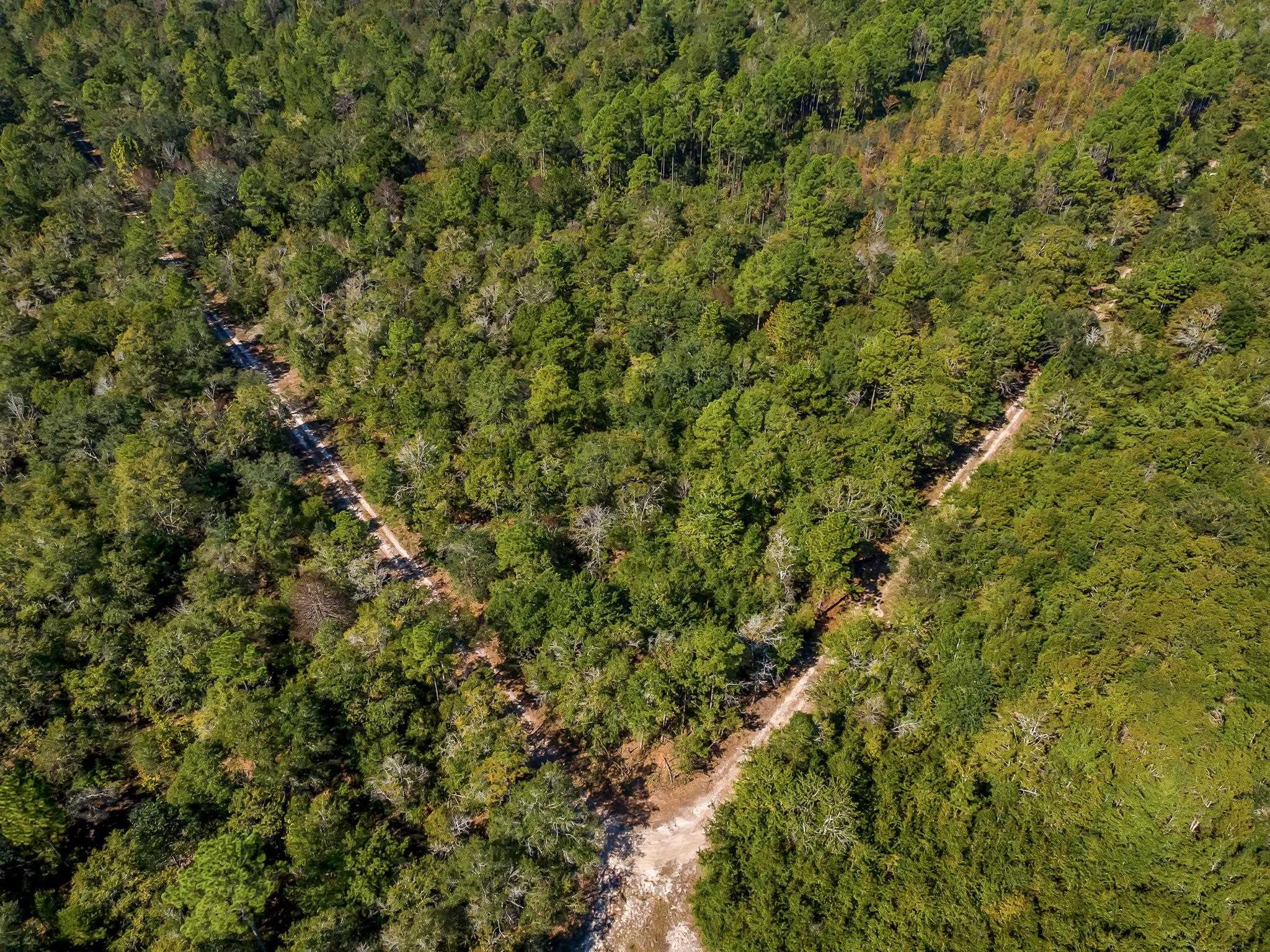 0 Glory Road Quincy, FL 32352 - Photo 3 of 12 Gallery Image 3