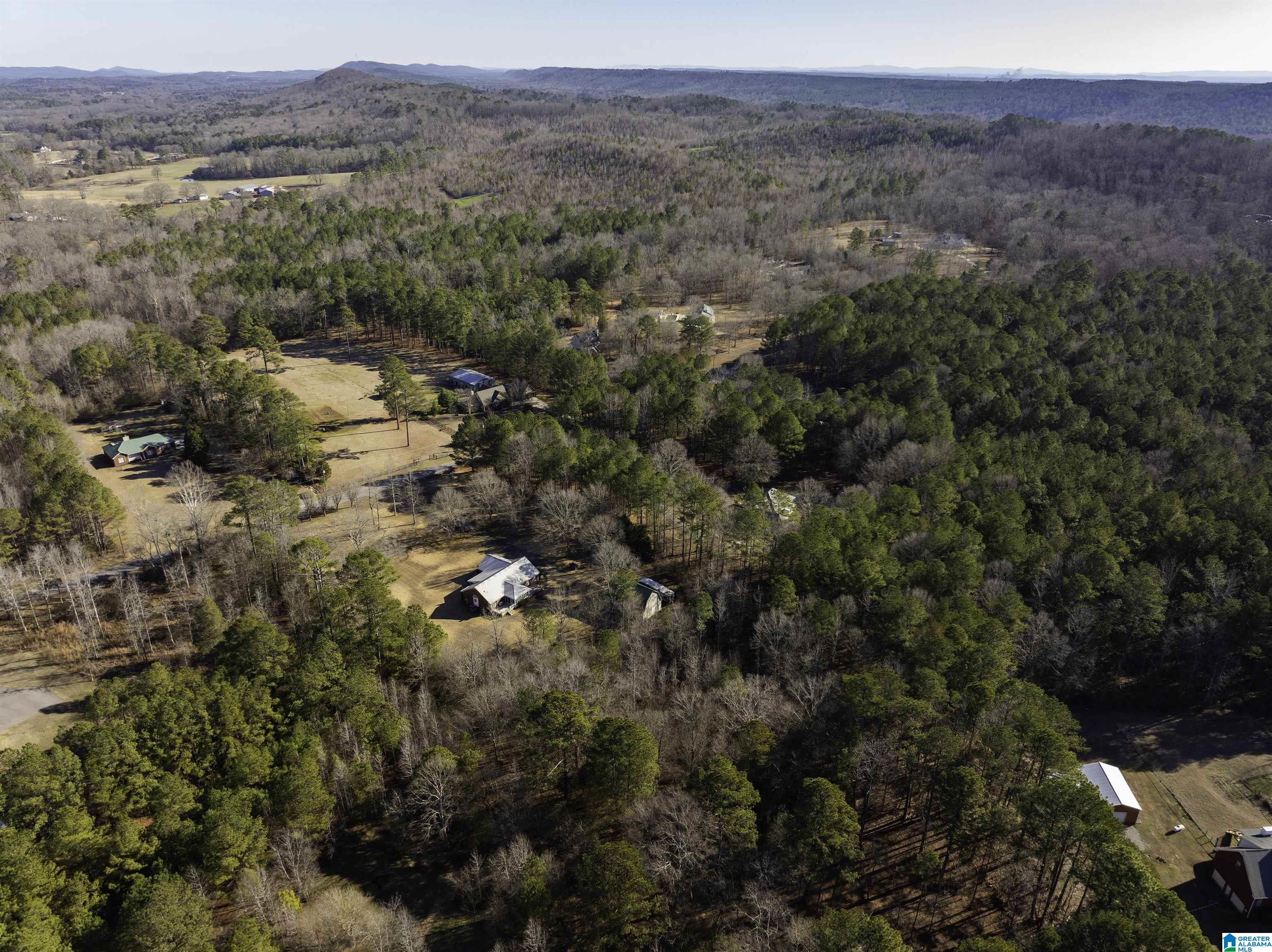 1115 Beaver Ridge Circle Ashville, AL 35953 - Photo 6 of 42 Gallery Image 6
