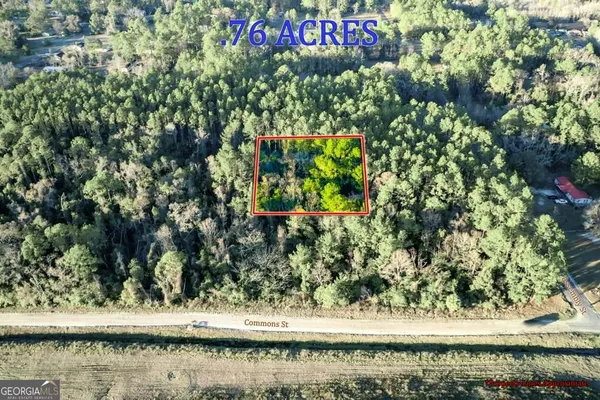 $10,000 | 0 Cabinet Street, Waycross, GA 31501