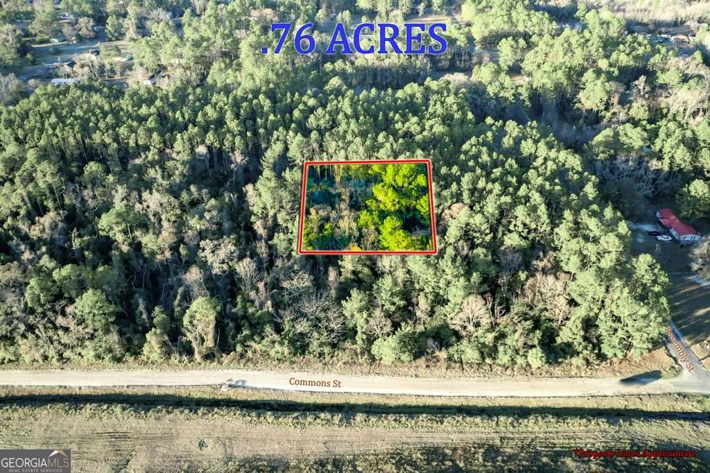 0 Cabinet Street Waycross, GA 31501 - Photo 1 of 11