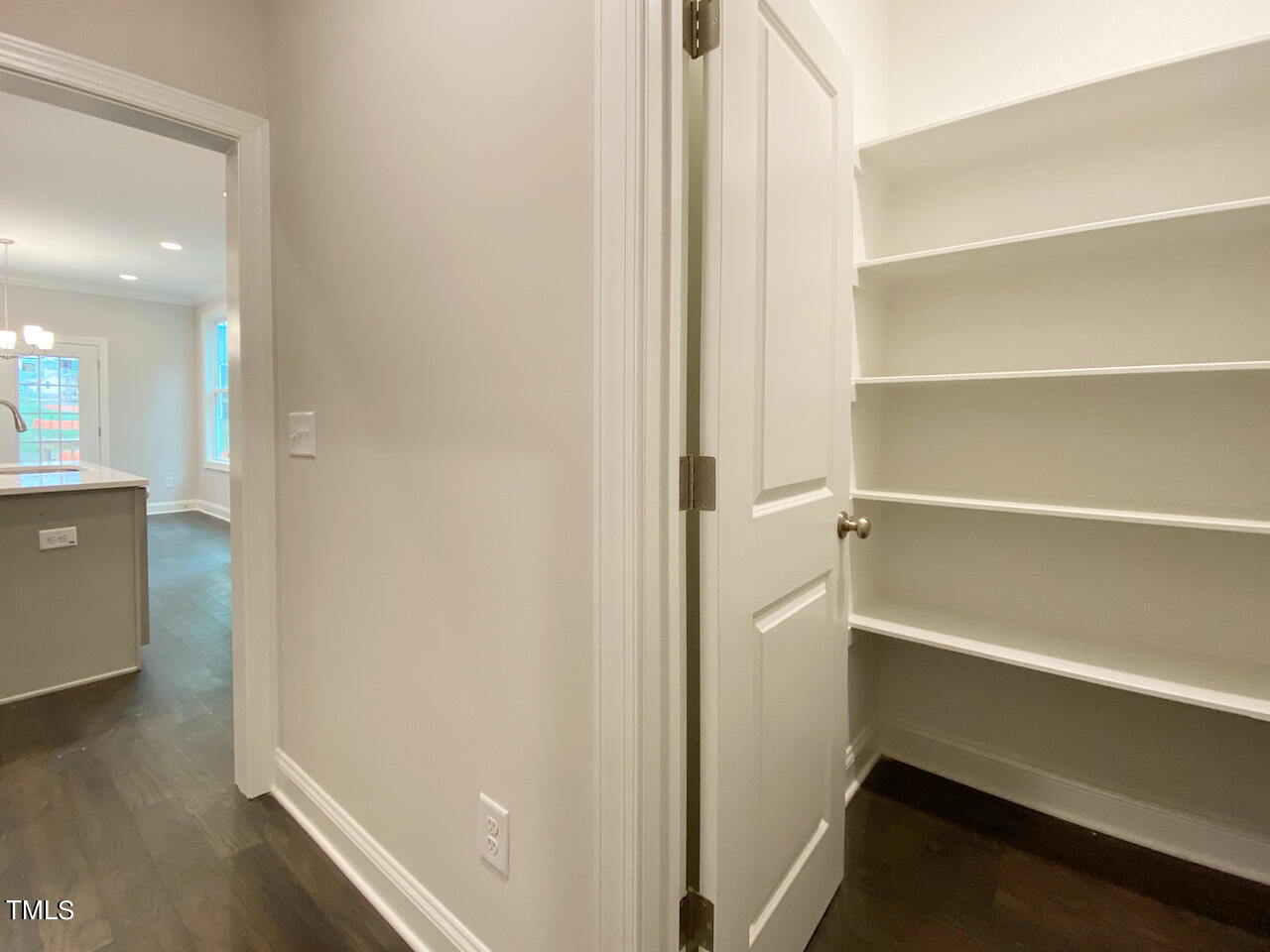 4627 Apple Rdg Lane Graham, NC 27253 - Photo 20 of 27 hc18 second pantry
