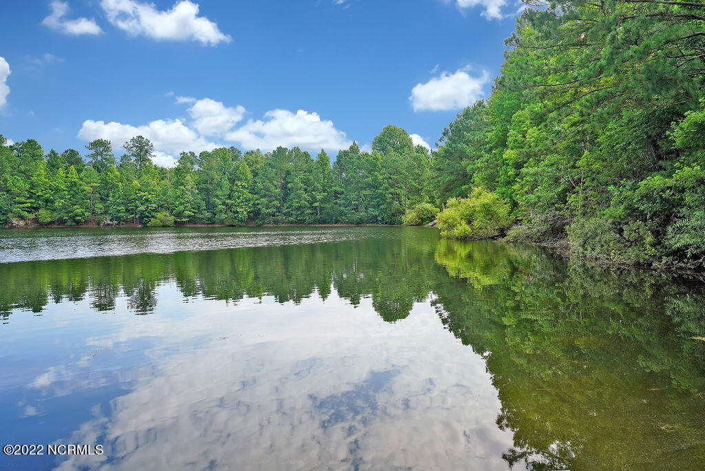 64 Creek Ridge Way Riegelwood, NC 28456 - Photo 39 of 39 64CreekRidgeWay-39