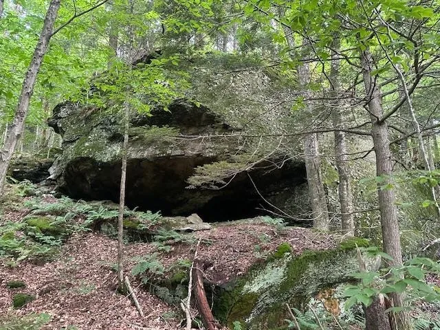 $375,000 | 1430 Back Road, Belvidere, VT 05442