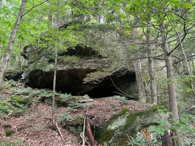 1430 Back Road Belvidere, VT 05442 - Photo 17 of 26