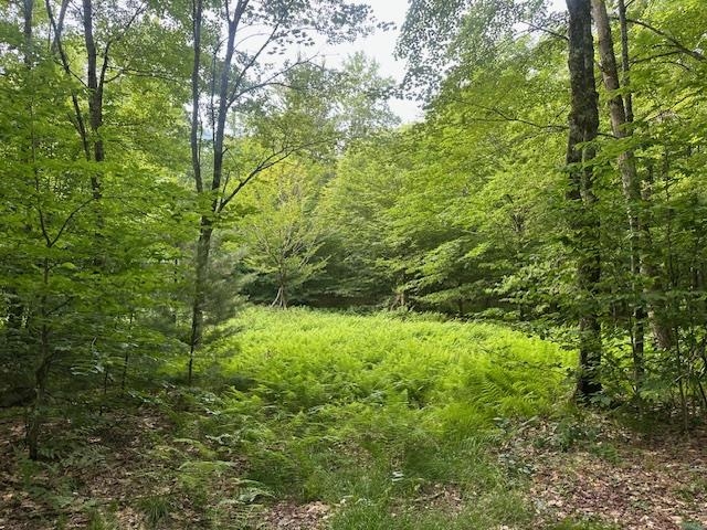 1430 Back Road Belvidere, VT 05442 - Photo 19 of 26