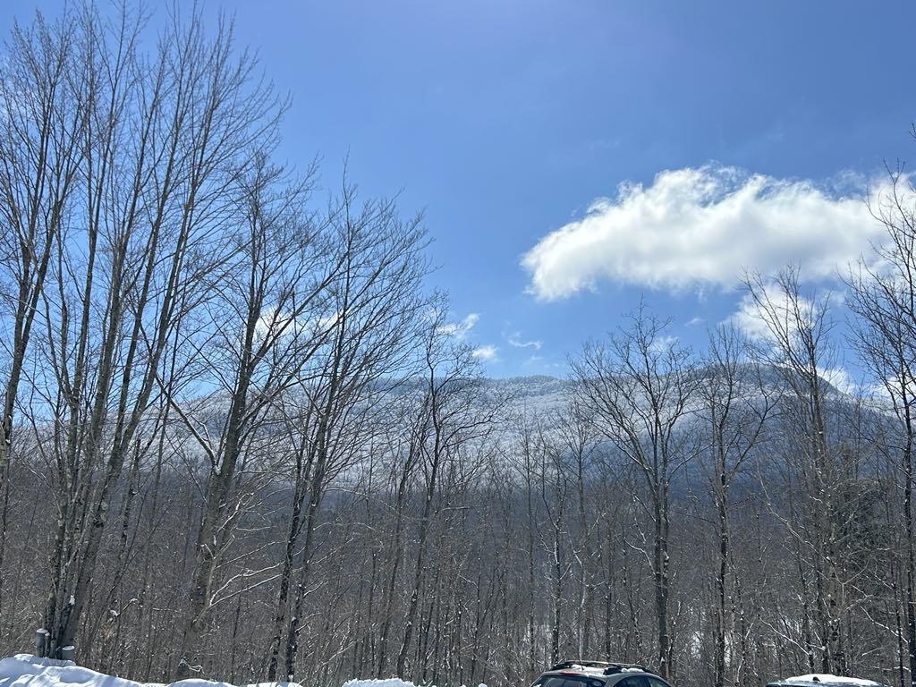 1430 Back Road Belvidere, VT 05442 - Photo 25 of 26