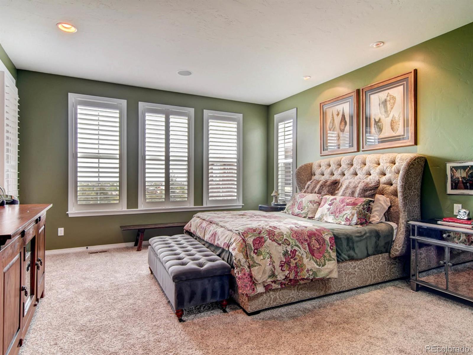 103 Morningdew Place Highlands Ranch, CO 80126 - Photo 14 of 35 Gallery Image 14