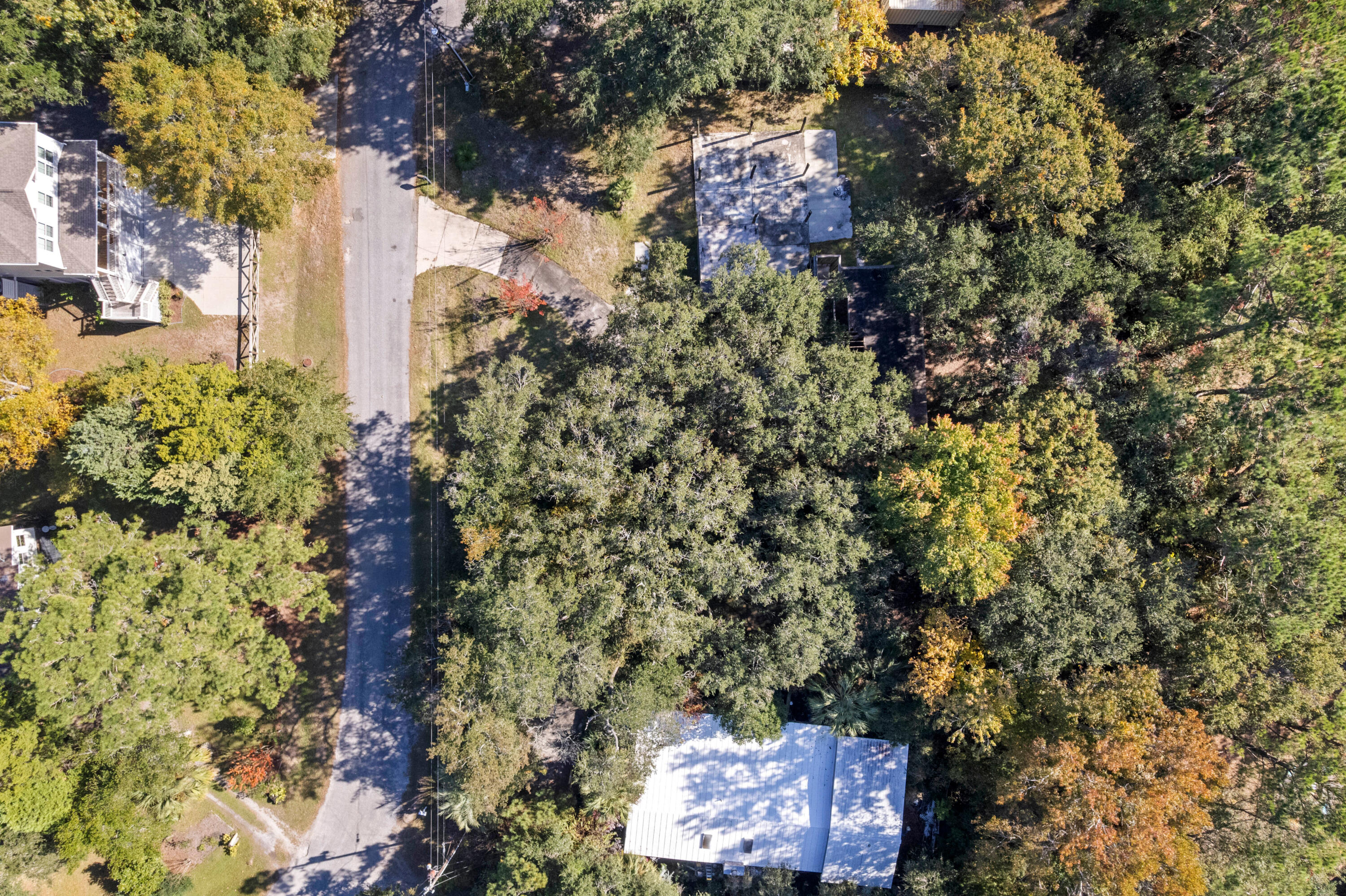 3622 Conch Street Mount Pleasant, SC 29466 - Photo 15 of 29 3622ConchSt-CasaVerdeMediaLLC15