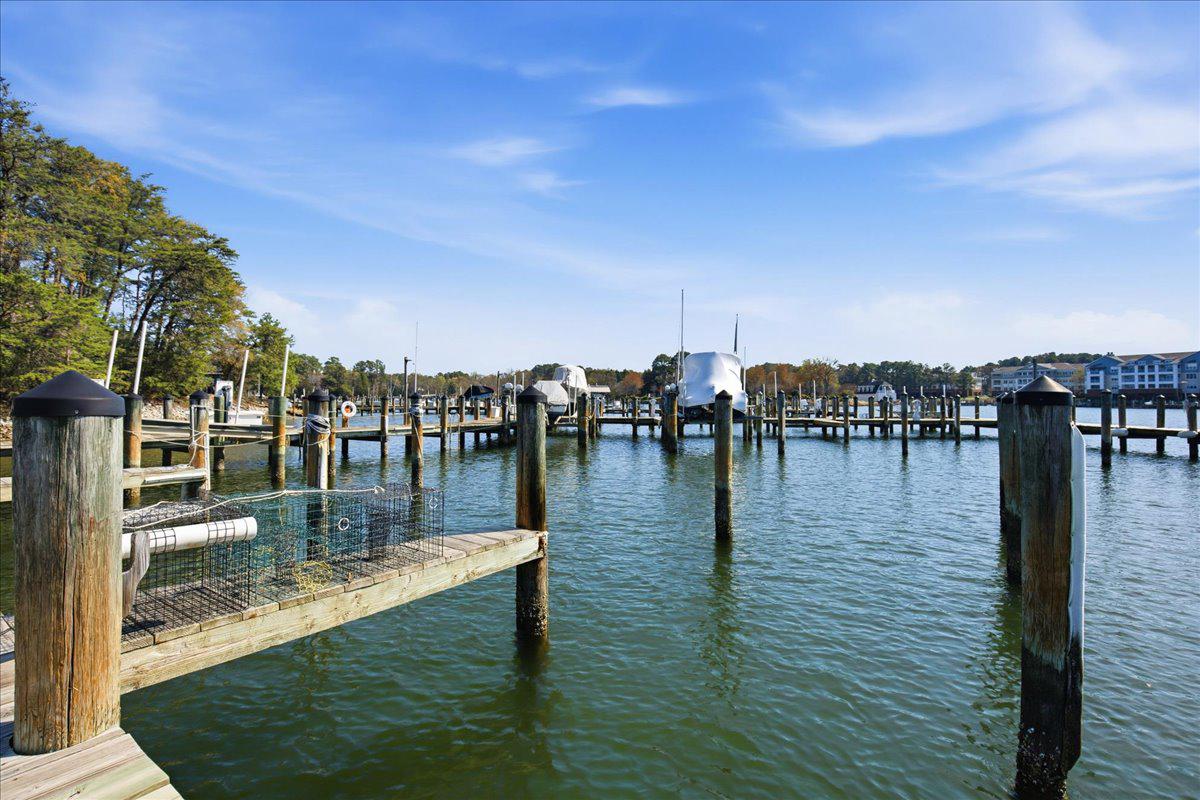 1223 Back Creek Loop, Unit 1223 Solomons, MD 20688 - Photo 41 of 44 a view of a lake with boats