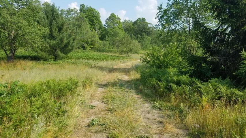 Gas Line Road Frederic, MI 49733 - Photo 29 of 32 Gallery Image 29