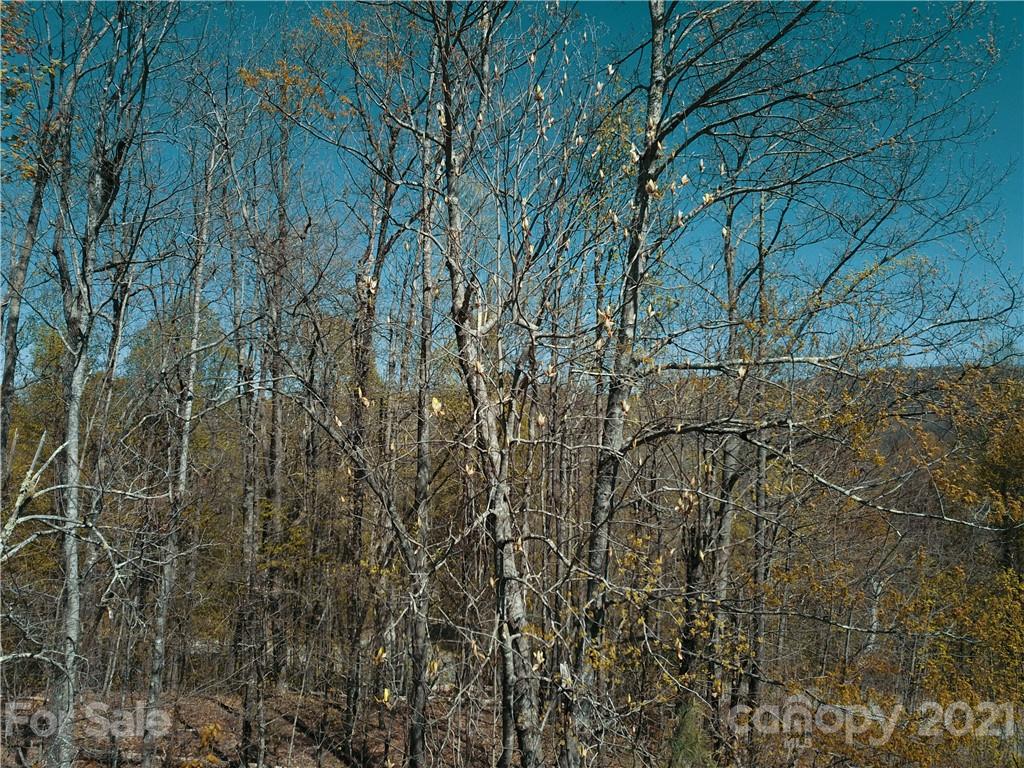 Corner Long Ridge Lane & Corner Long Ridge Lane, Unit 11 Rosman, NC 28772 - Photo 13 of 26