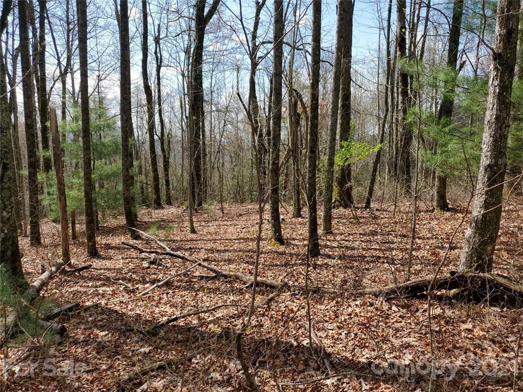 Corner Long Ridge Lane & Corner Long Ridge Lane, Unit 11 Rosman, NC 28772 - Photo 14 of 26