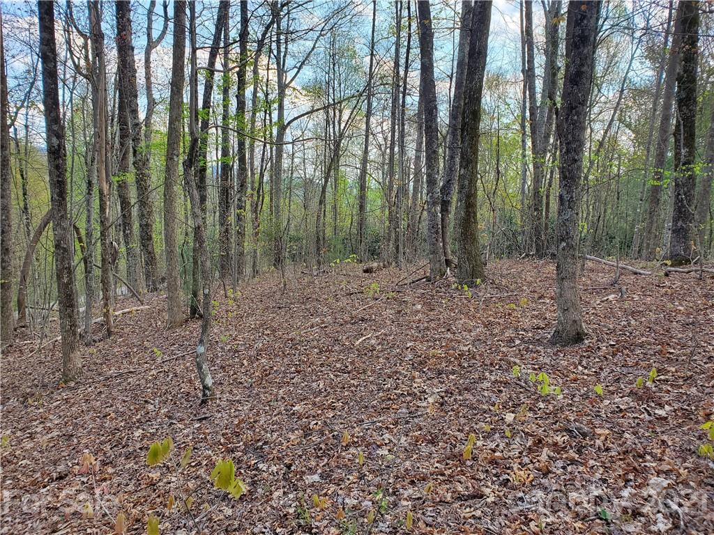 Corner Long Ridge Lane & Corner Long Ridge Lane, Unit 11 Rosman, NC 28772 - Photo 15 of 26