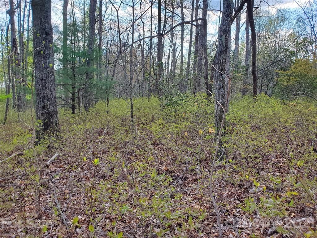 Corner Long Ridge Lane & Corner Long Ridge Lane, Unit 11 Rosman, NC 28772 - Photo 16 of 26