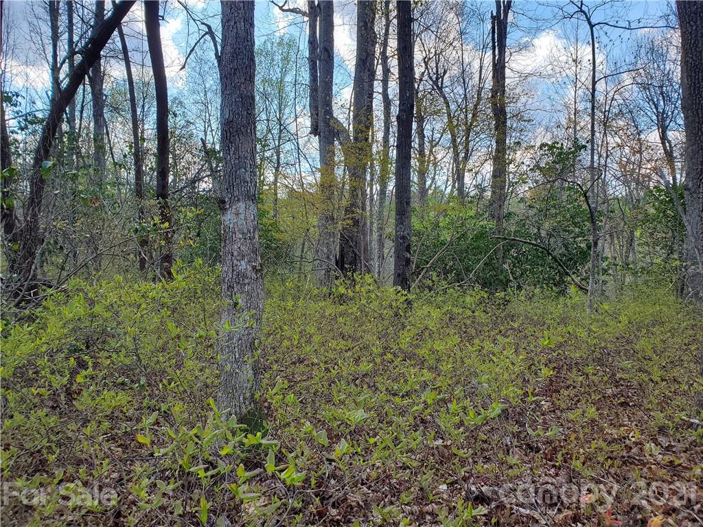 Corner Long Ridge Lane & Corner Long Ridge Lane, Unit 11 Rosman, NC 28772 - Photo 17 of 26