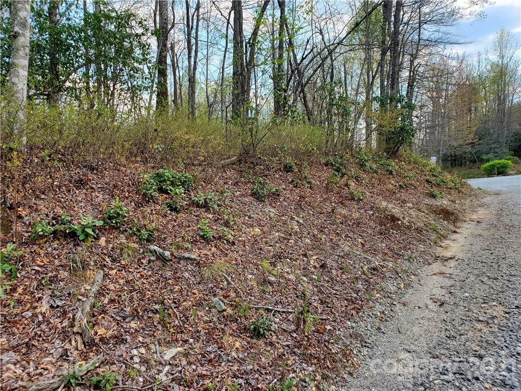 Corner Long Ridge Lane & Corner Long Ridge Lane, Unit 11 Rosman, NC 28772 - Photo 18 of 26