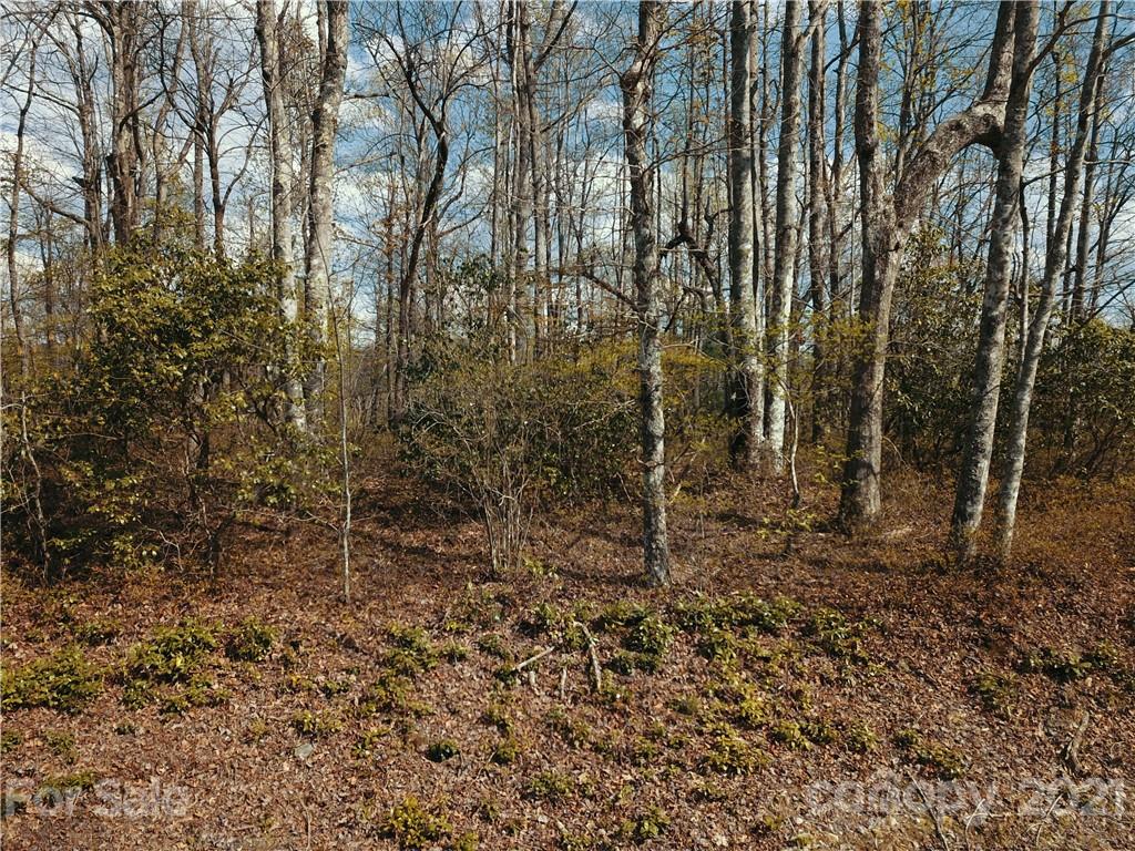 Corner Long Ridge Lane & Corner Long Ridge Lane, Unit 11 Rosman, NC 28772 - Photo 19 of 26