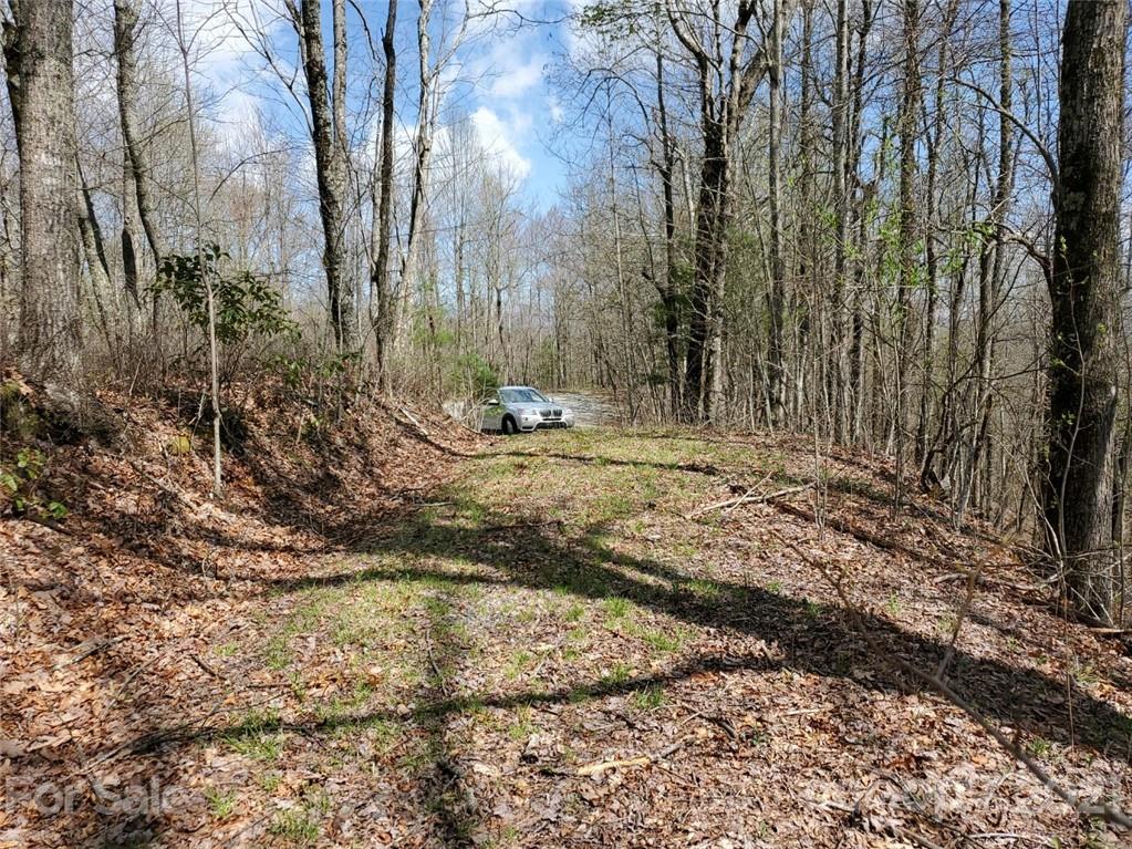 Corner Long Ridge Lane & Corner Long Ridge Lane, Unit 11 Rosman, NC 28772 - Photo 20 of 26
